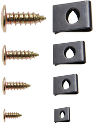 Assortment of plate nuts and screws
