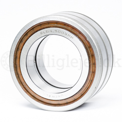Cylindrical Roller Bearing SL045004-PP
