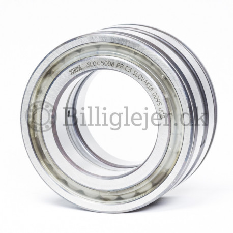 Roulement à rouleaux cylindriques SL045008-PP-C3 INA