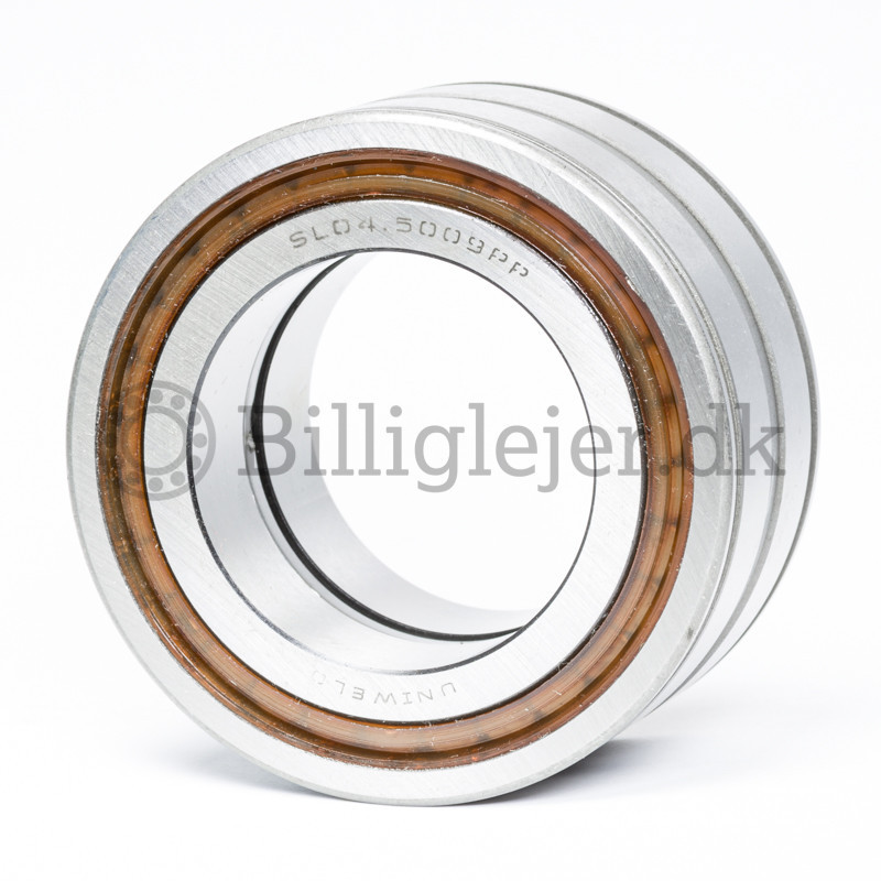 Cylindrical Roller Bearing SL045009-PP