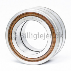 Cylindrical Roller Bearing SL045016-PP
